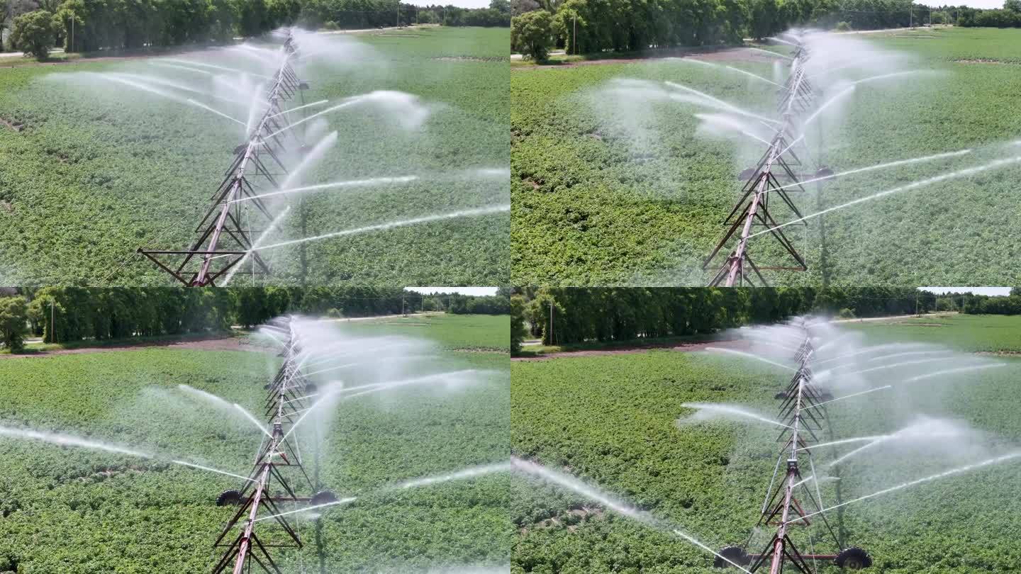 威斯康辛州中部的一片農(nóng)田正在用灑水系統(tǒng)進行灌溉。